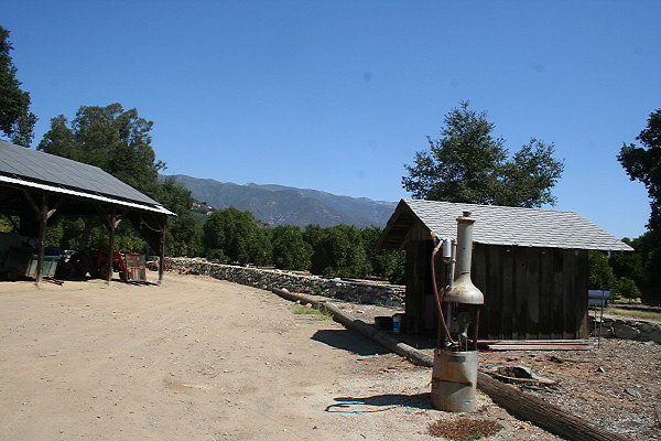 IMG 0090