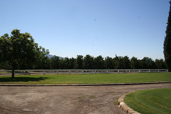 IMG 0097