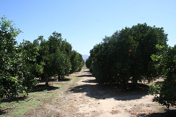 IMG 0146