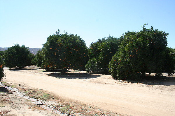 IMG 0148
