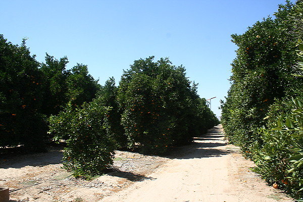 IMG 0169