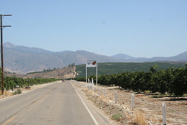 IMG 0195