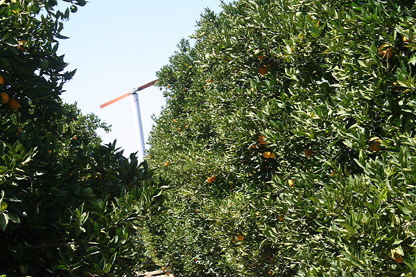 IMG 0171