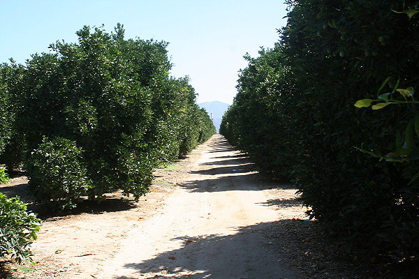 IMG 0166