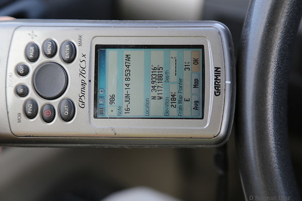 zDND-zIMG 5965