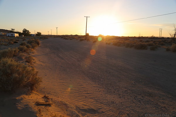 IMG 7558