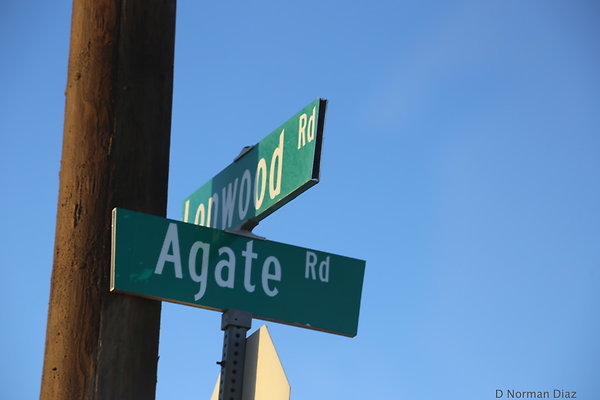 IMG 7547