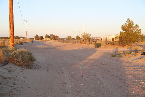 IMG 7587