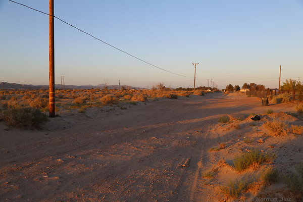IMG 7581
