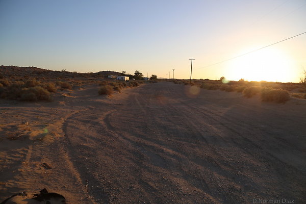 IMG 7548