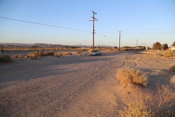 IMG 7560