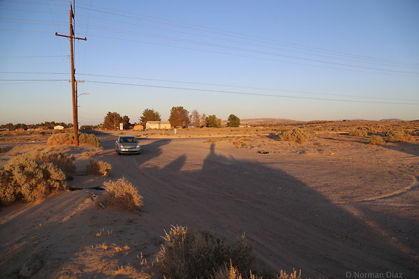 IMG 7556