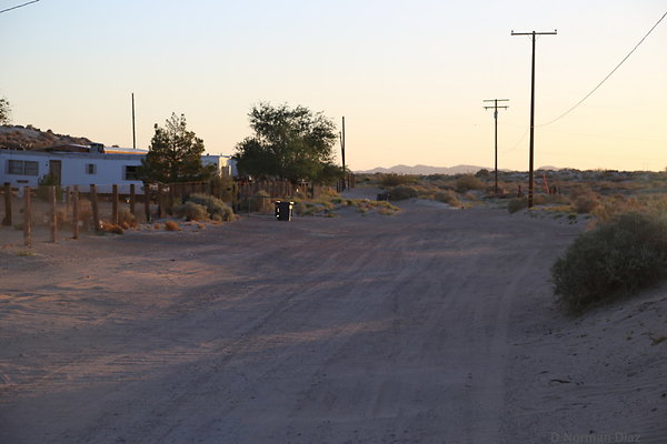 IMG 7568
