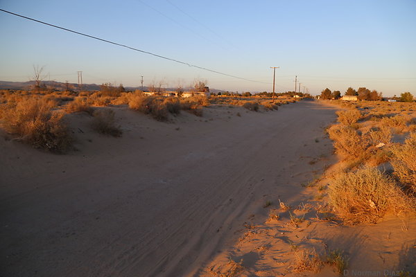 IMG 7570