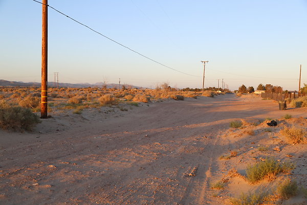 IMG 7582