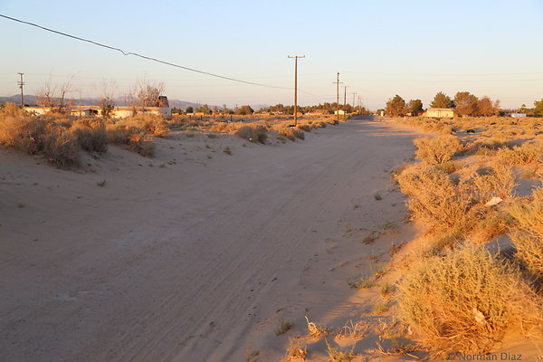 IMG 7569