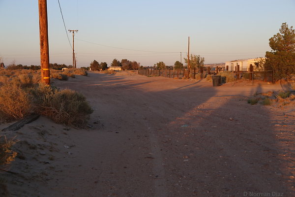IMG 7586