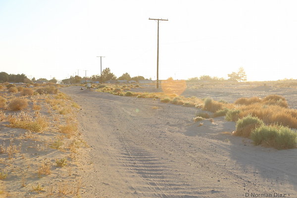 IMG 7498