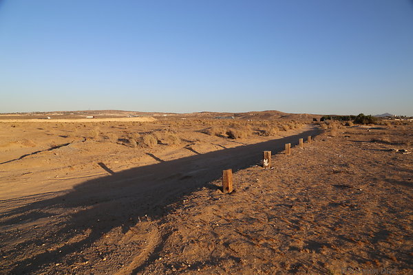 IMG 7524