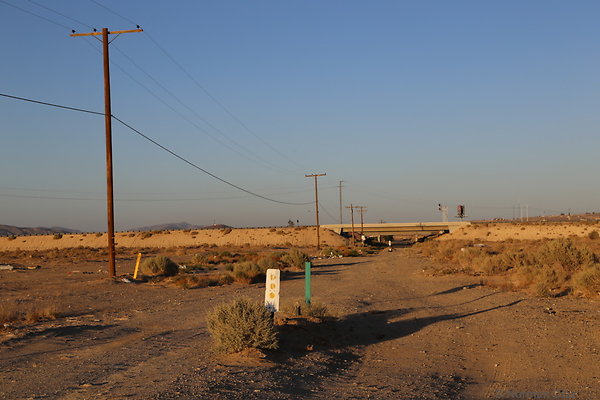 IMG 7514
