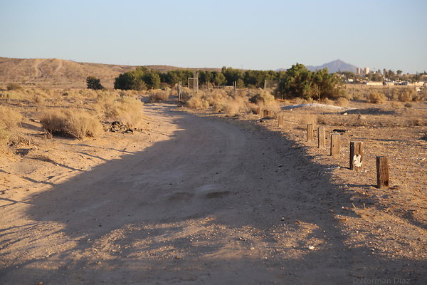 IMG 7521