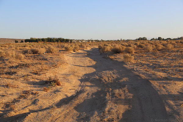 IMG 7496