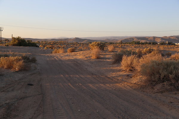 IMG 7534