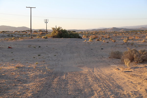 IMG 7542