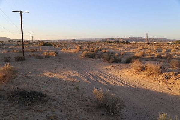 IMG 7533