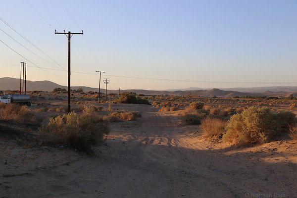 IMG 7532