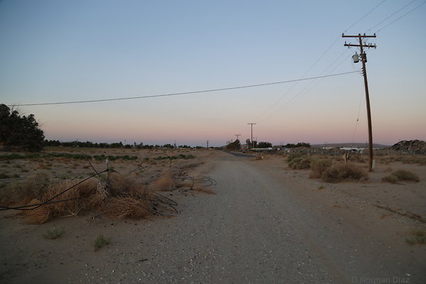 IMG 7596