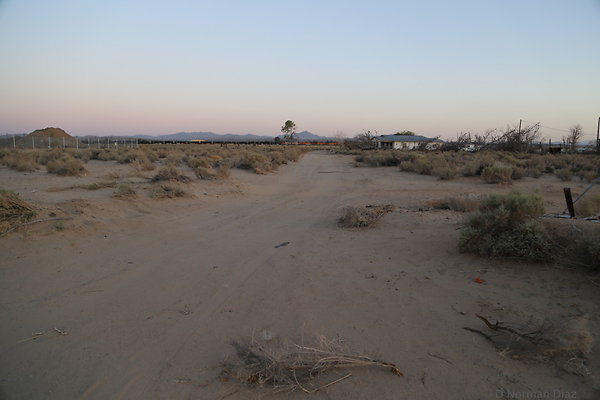IMG 7600