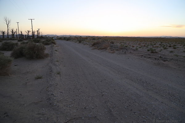 IMG 7599