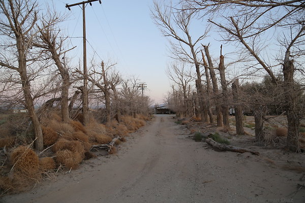 IMG 7612