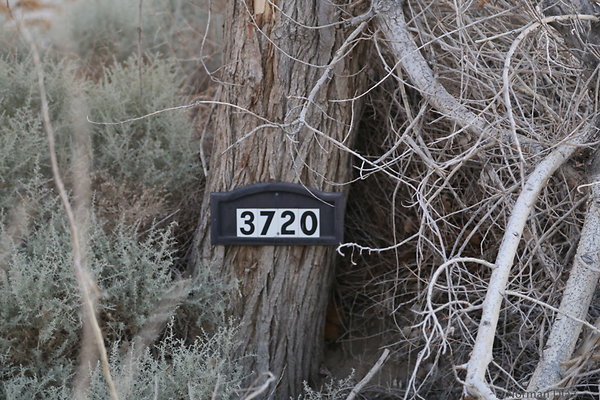 IMG 7611