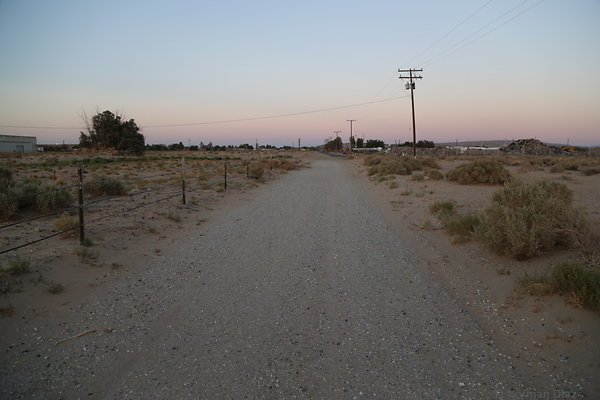 IMG 7594