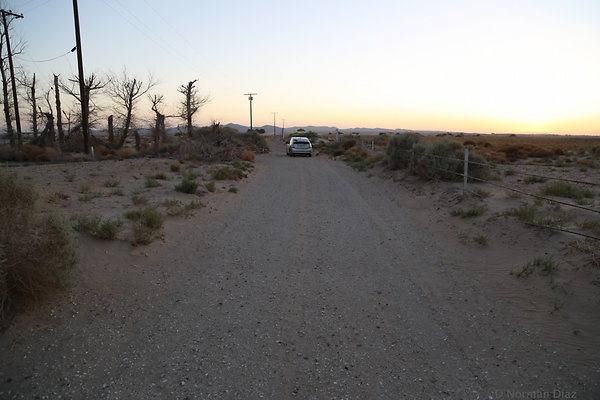 IMG 7595