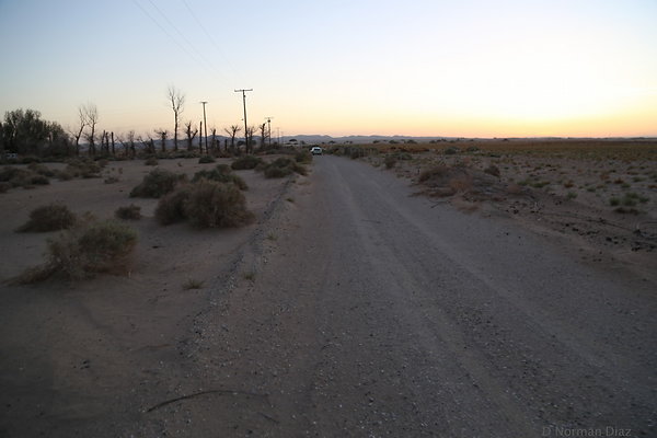IMG 7604