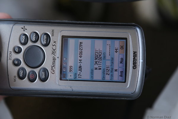 zIMG 7094
