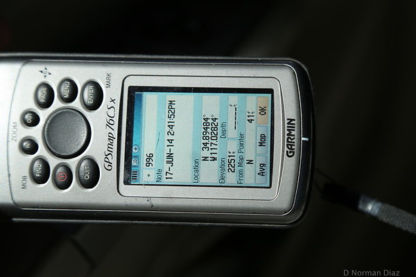 zIMG 6894