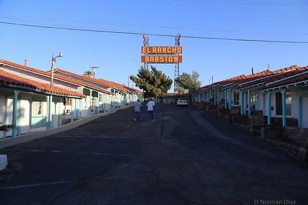 IMG 7480