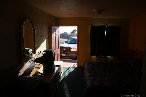 IMG 7313