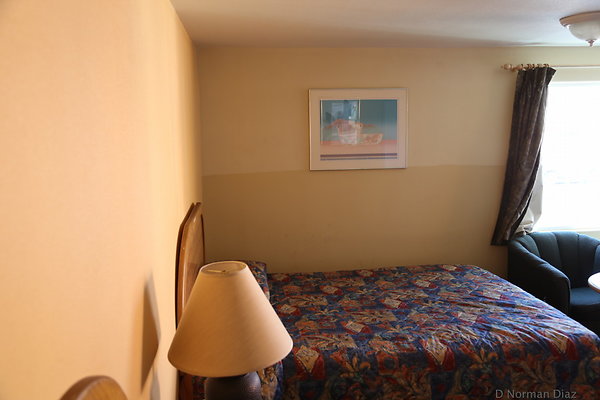 IMG 7279