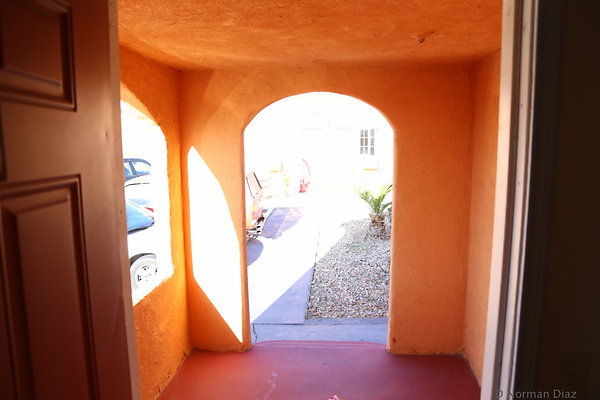 IMG 7288