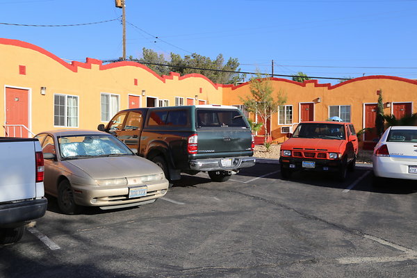 IMG 7308
