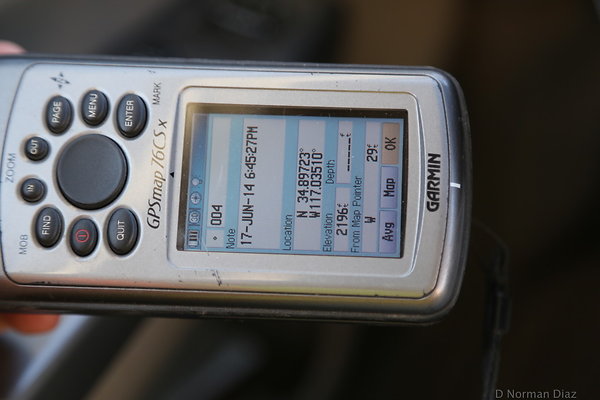 zIMG 7384