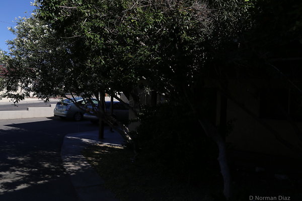 IMG 7112