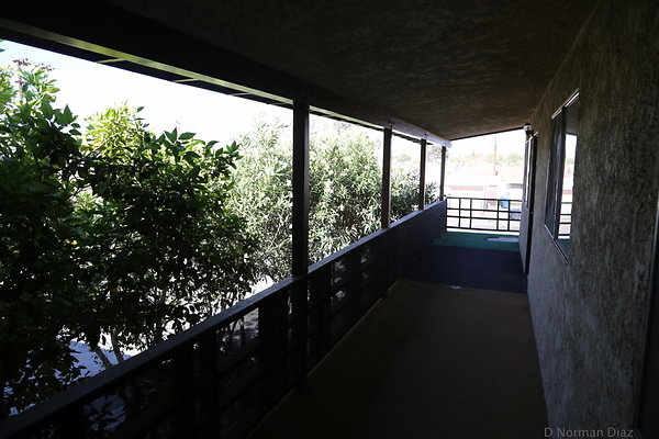 IMG 7121