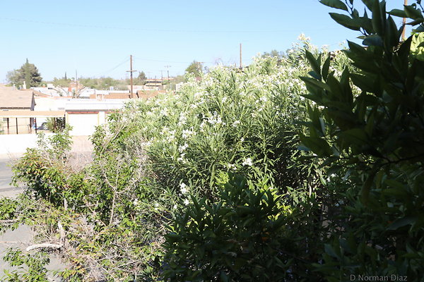 IMG 7129