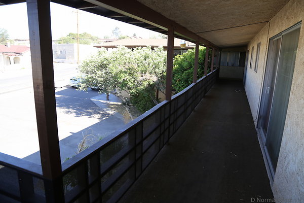 IMG 7136